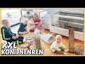 XXL KONiJNENREN iN SPEELKAMER GEBOUWD ? | Bellinga Vlog #2453