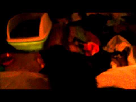 Our Fears by Jedidiah Romnek