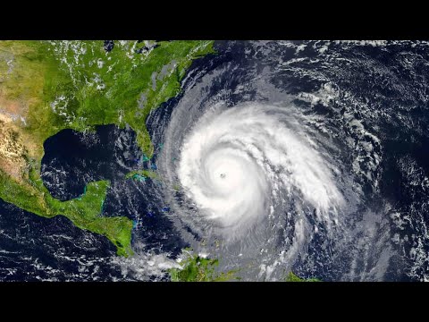 American Sign Language ASL Video Dictionary - hurricane