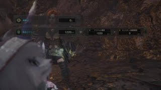 ［MHW］モンスターハンター：ワールド        地脈の黄金郷 レア環境生物3種捕獲！ 【ジュンキンカブトガニ】【ゴールドカラッパ】【ツチノコ】