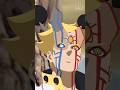 Boruto With Two Karma Of Isshiki And Momoshiki Fan Animation Boruto Animation Naruto Shorts Fan