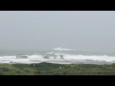 Tropical storm 🌧in Massachusetts from the morning. Just big waves🌊 light rain and some wind😂