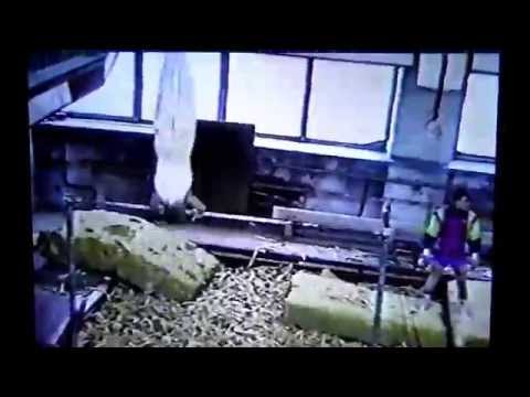 Mariupol Gymnastics 1997 - Ярослав Вовк - перекладина