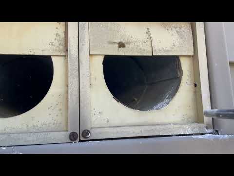 Yellow Jackets Use Exhaust Vent to Infest Home in Tinton Falls, NJ