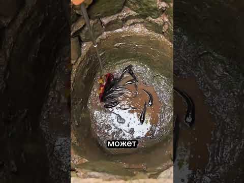 😱 Опасный зверь в колодце?! 🐟#shorts