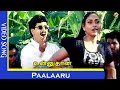 Paalaaru Video Song Unnudan Tamil Movie Songs Latest Tamil Songs Murali Kausalya Vega Music