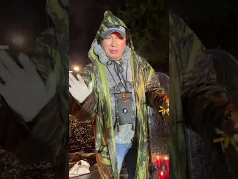 Магия Жизни 8