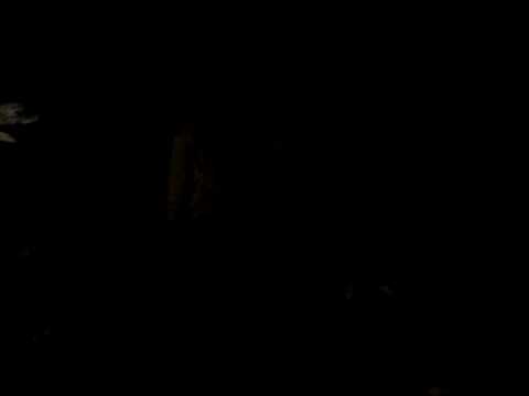 Earth Vibration playing Young Warrior