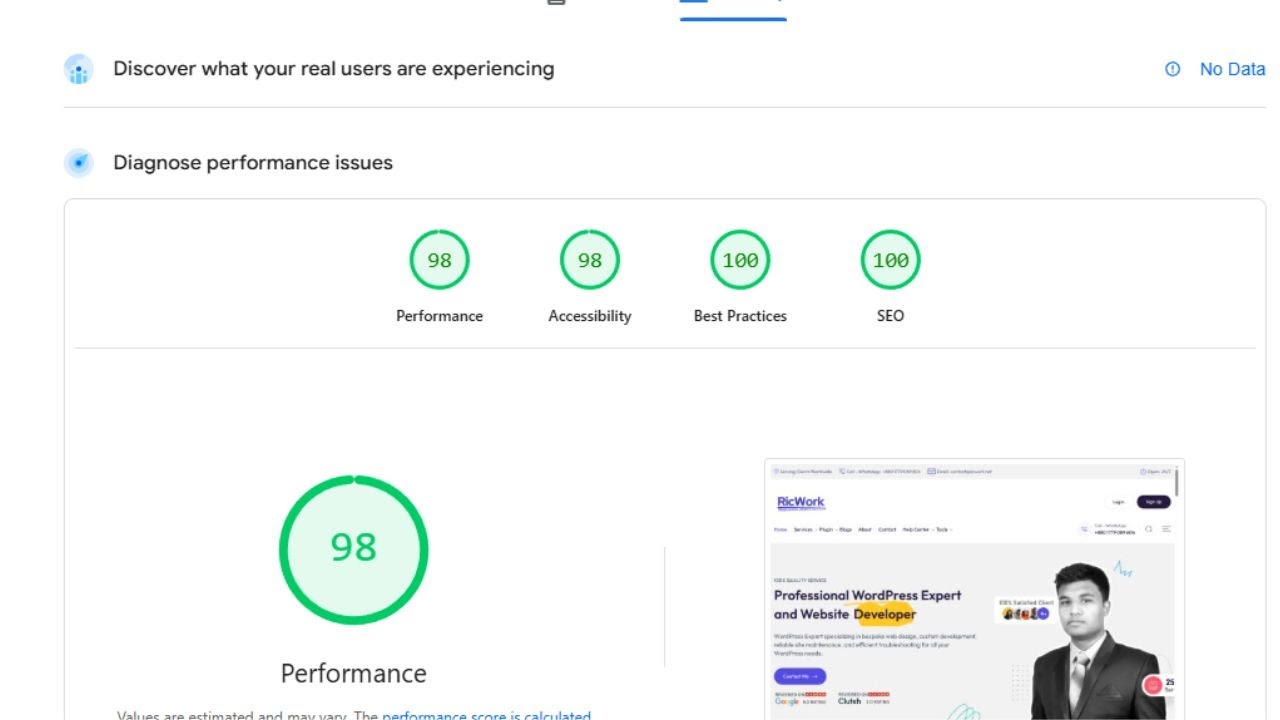 Senior WordPress Developer | Custom Plugins, WooCommerce & Performance Optimization