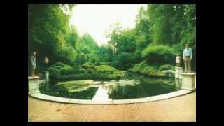 The Ladybug Transistor - Like a Summer Rain