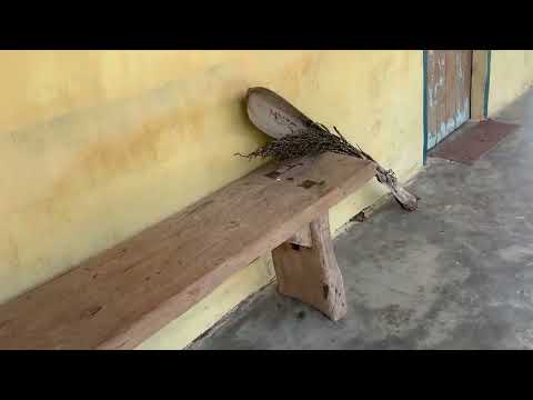 Paulo Jacinto Alagoas 