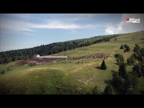 Di Santo Davide VS Scinocca Antonio  - 20° Campionato Italiano Città di Arco
