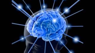 Mind Over Matter - I've Decided - Various Artists