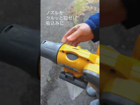 庭掃除に最適な道具は何ですか？リーフシュレッダーバキュームまたはリーフブロワー  庭園