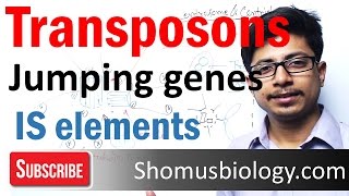 Transposable elements | transposons and is elements