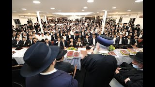 מעמד "נקבצו" סוף זמן קיץ תשפ"ה, בהשתתפות ראשי הישיבות ובראשות מנהיג הדור מרן הרב יצחק יוסף (מורשת מרן) - התמונה מוצגת ישירות מתוך אתר האינטרנט יוטיוב. זכויות היוצרים בתמונה שייכות ליוצרה. קישור קרדיט למקור התוכן נמצא בתוך דף הסרטון