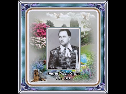 Angyal Nagy Gyula : Ha az enyém volnál