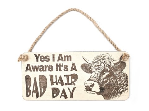 Highland Cow Bad Hair Day Sign