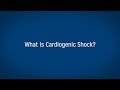 Cardiogenic Shock and the Impella