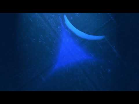 DJ Ross feat. Kumi - La Vie