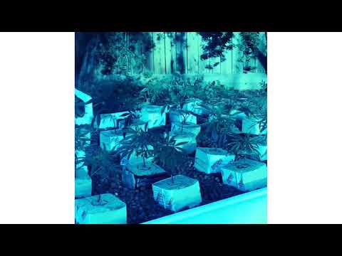 It's A Vibe (feat. Ty Dolla $ign, Trey Songz & Jhené Aiko) — YouTube