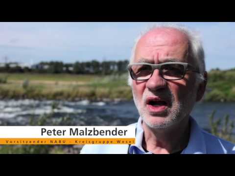 Mit Kies und Sand Zukunft gestalten