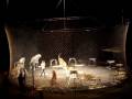 Ringling Tigers 2