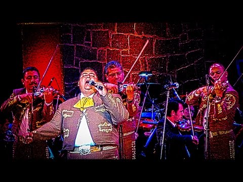 MARIA DE TODAS LAS MARIAS | MARIACHI SOL DE AMERICA