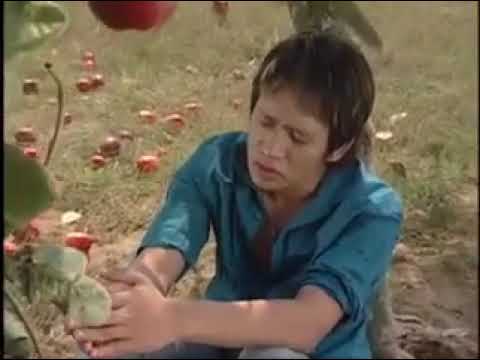 Tình yêu còn đâu - Duy Mạnh