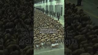 Download lagu '갱단과의 전쟁' 선포했던 이곳…1년간 살인사건 0건?  #elsalvador mp3