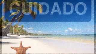 Gaveta - Fernando e Sorocaba com Letra ***