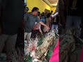Suku Dayak Tumbang Kanei