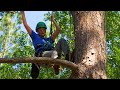 The Tree Climber (Texas Country Reporter)