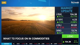 What to Watch in Commodities