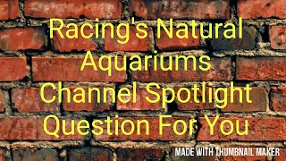 Channel Spotlight