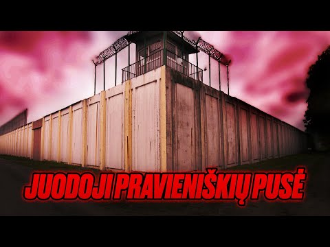 Kodėl kalėjimai Lietuvoje neveikia?