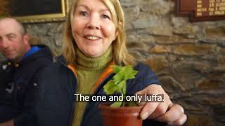 The Seed Swap & Plant Share 2022 (Isle of Man)