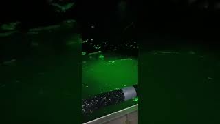 いわし漁の様子