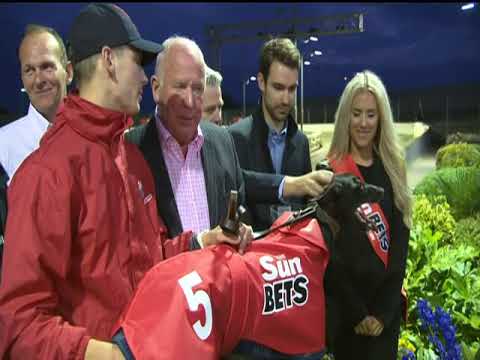 2017 SUNBETS PUPPY TROPHY - T5 PENNYS RYAN