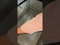 Night Time Kitchen Cleaning Simple Shivani Shorts Youtubeshorts Viral