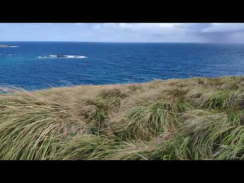 Balagbag Island near Calaguas Island
