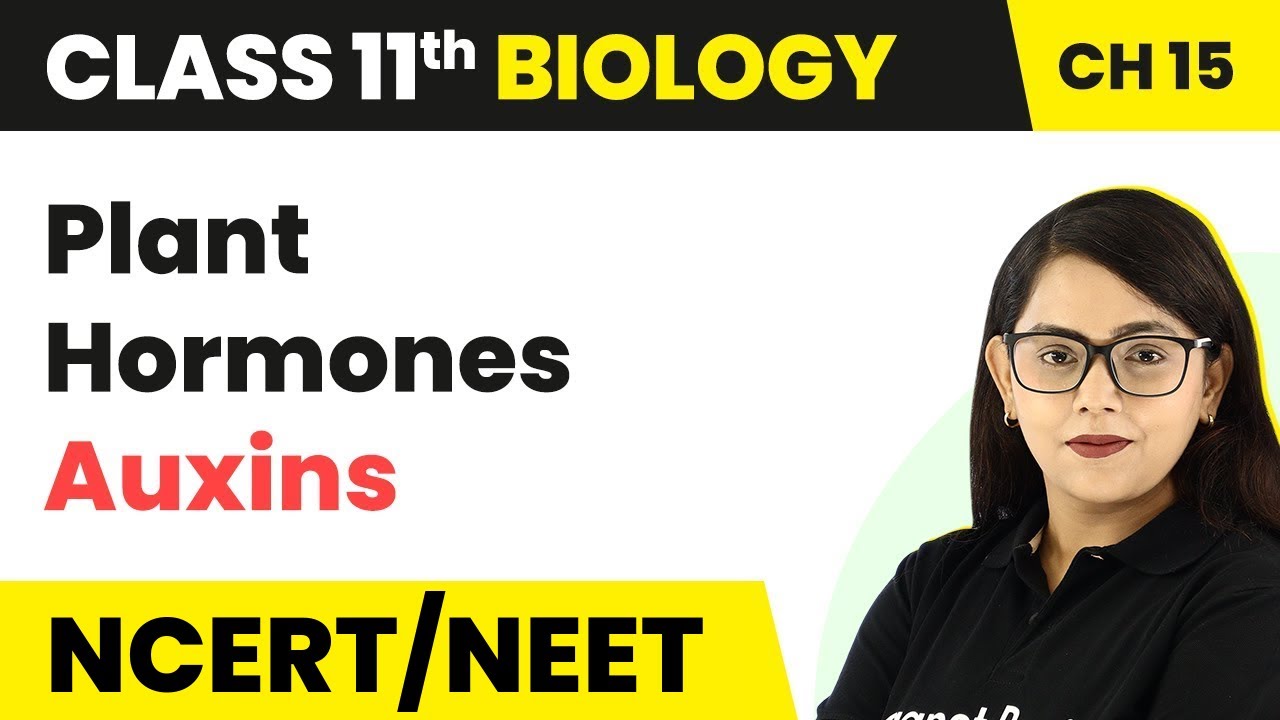 Plant Hormones (Auxins) - Plant Growth And Development | Class 11 Biology