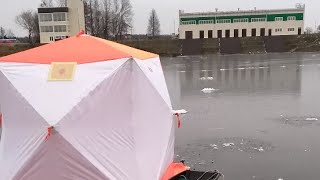 Ссылка