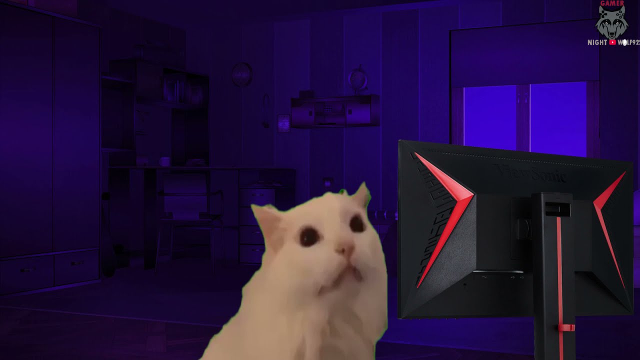 Thurston Waffles cat meme