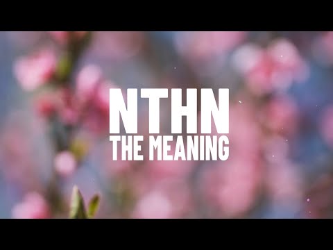 NTHN - The Meaning [Official Lyrics Video]