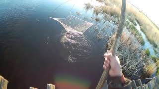 Супер рыбалка море рыбы