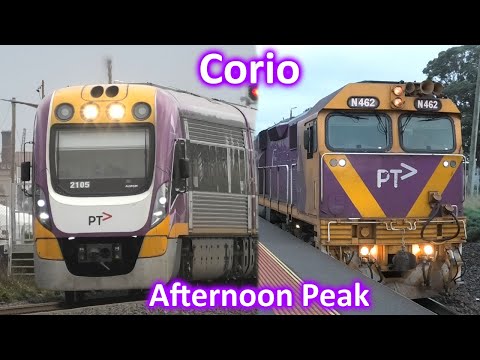 Trains at Corio during Peak Hour; V/Line Passenger & Freight Trains