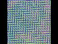 Animal Collective - Brother Sport 