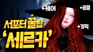 세르카에서 서폿이 하면 좋은 것들