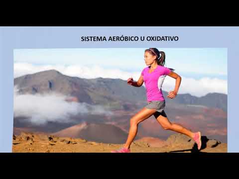 Sustratos energéticos